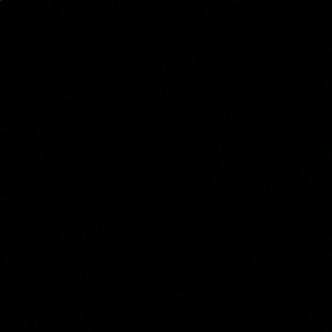 Meet your Posher, Tamara